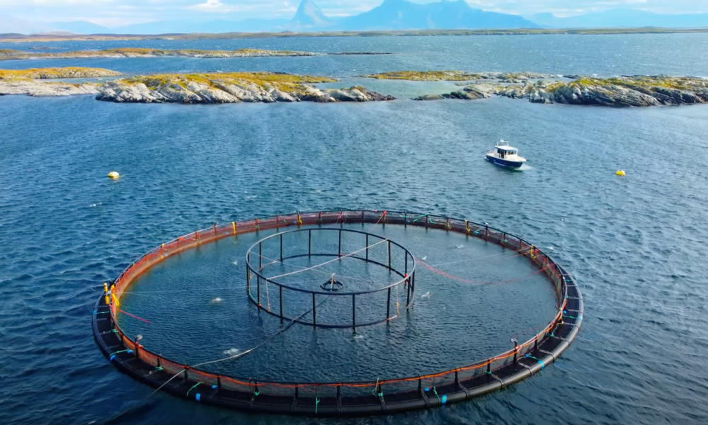 Vakuum für EPS Boxen-Produktion