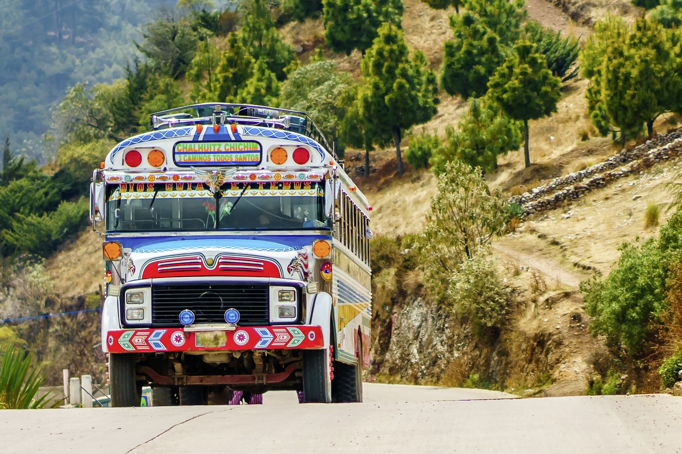 Between chrome and basket buses